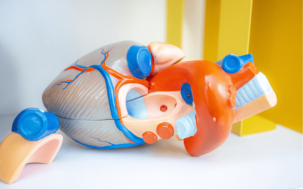 動悸・息切れ・胸の痛み